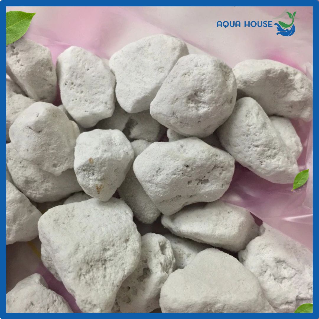 Đá Lông Vũ ( Nham Thạch Trắng ) Vật Liệu Lọc Hồ Cá 6 đá long vũ