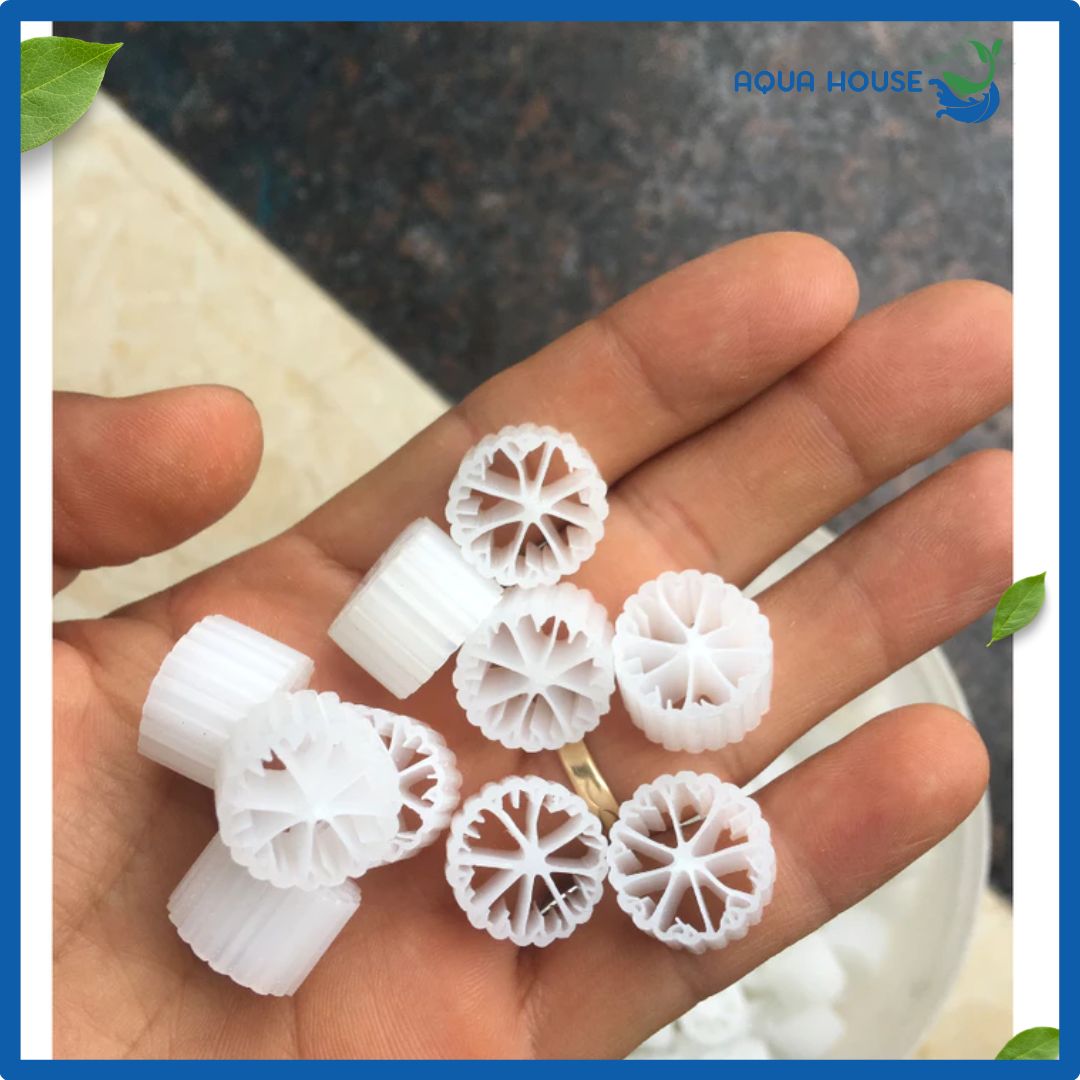 Hạt lọc Kaldnes 1kg Vật liệu lọc Hồ Cá 6 hạt lọc hồ cá koi kanet