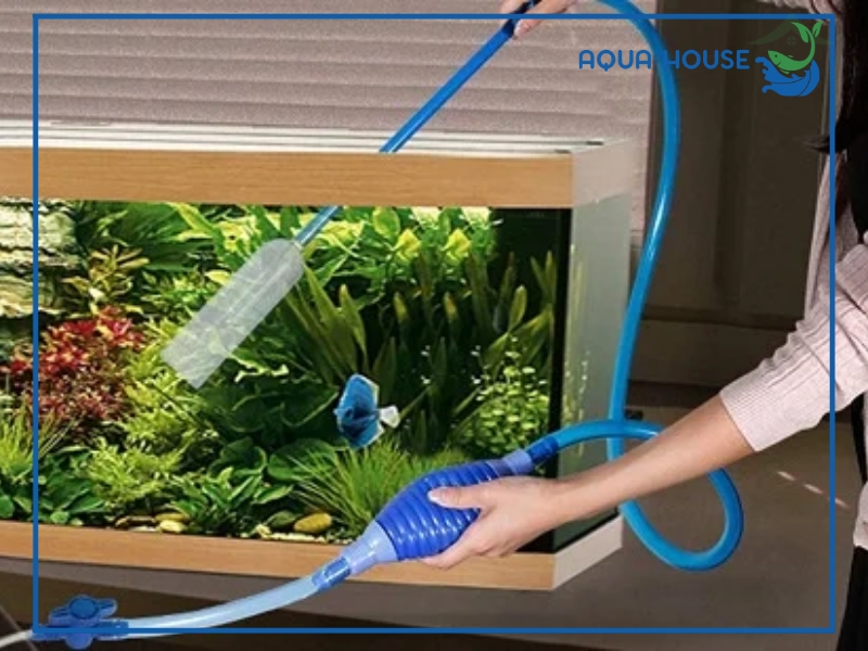 Nguyên nhân khiến hồ cá bị hụt nước