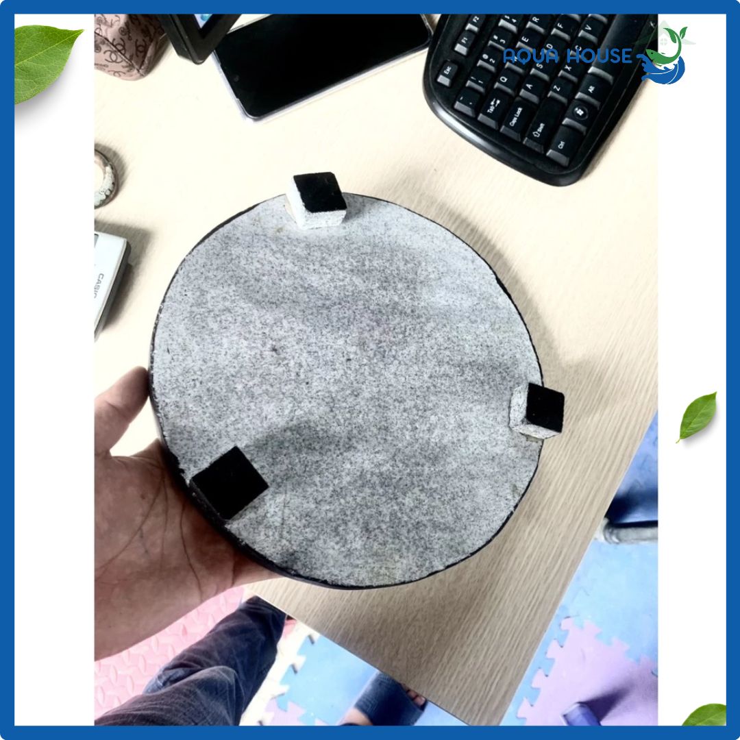 Nấm Che Hút Đáy Hồ Koi - 20cm - 25cm - 30cm 4 mặt sau nấm đá che hút đáy hồ cá