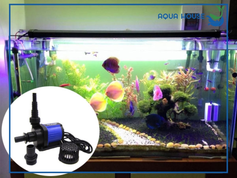 Máy bơm hồ cá bị kêu: Nguyên nhân và cách khắc phục triệt để 33 Máy bơm hồ cá bị kêu có nguy hiểm không?