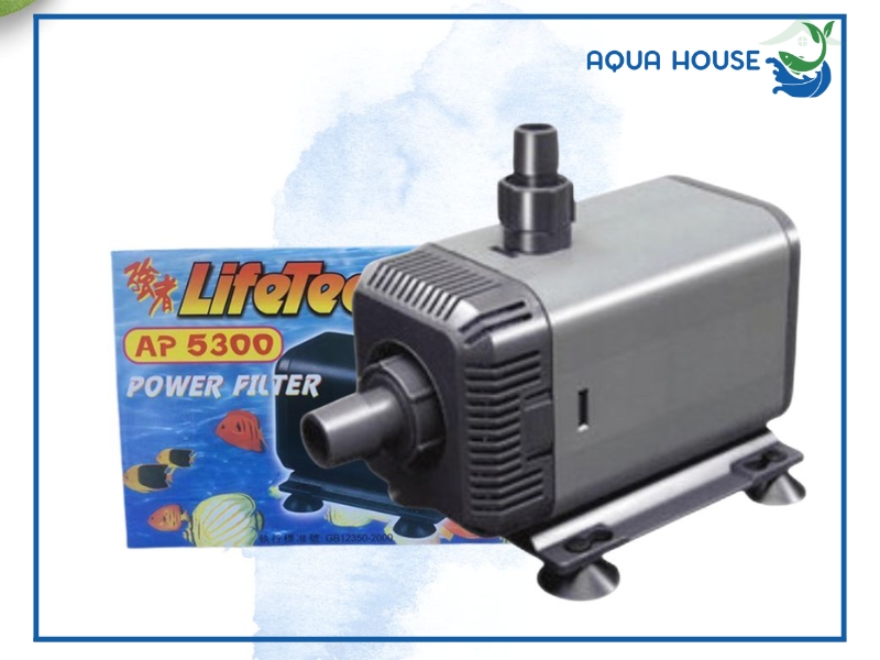 Máy bơm hồ cá bị kêu: Nguyên nhân và cách khắc phục triệt để 35 Cách xử lý khi máy bơm hồ cá bị kêu