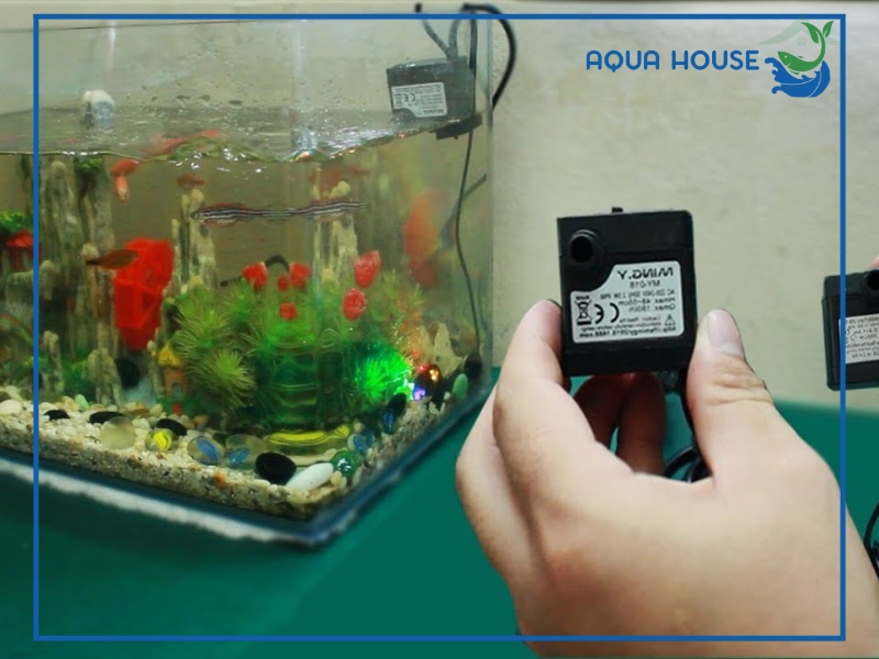 Máy bơm hồ cá bị kêu: Nguyên nhân và cách khắc phục triệt để 34 Nguyên nhân khiến máy bơm hồ cá bị kêu