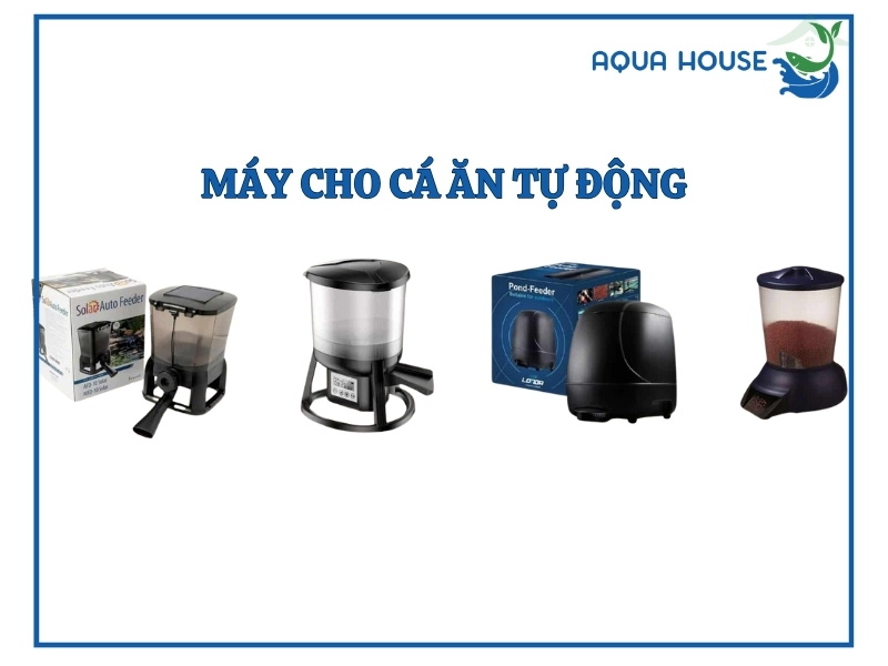 MÁY CHO CÁ ĂN TỰ ĐỘNG SUNSUN AK 01S 2 Các loại máy cho cá ăn tự động phổ biến hiện nay