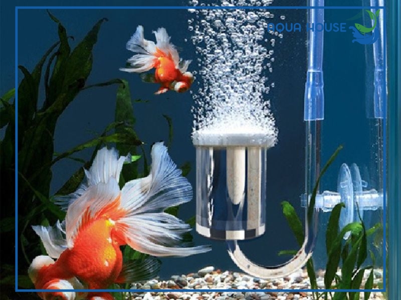 Dấu hiệu nhận biết máy sủi oxy bị vào nước