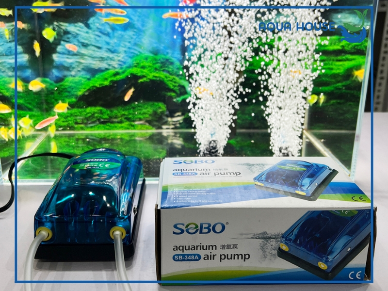 Nguyên nhân khiến máy sủi oxy bị vào nước