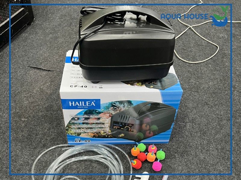 Cách chọn máy sủi oxy tiết kiệm điện