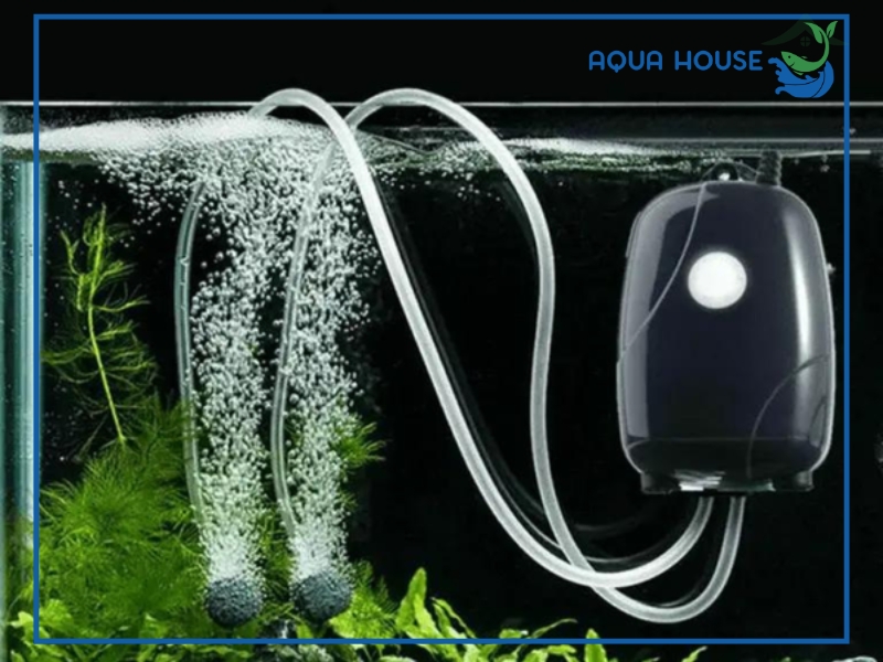 Máy sủi oxy có tốn điện không?