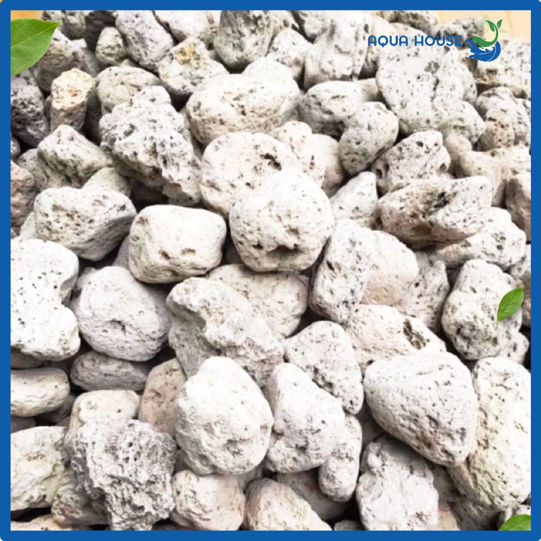 Đá Lông Vũ ( Nham Thạch Trắng ) Vật Liệu Lọc Hồ Cá 8 nham thạch trắng với bề mặt bám vi sinh