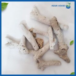 vật liệu lọc nước san hô