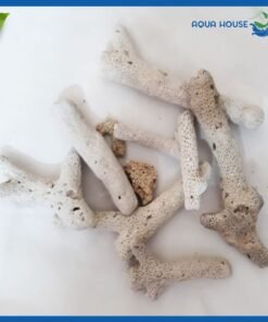 vật liệu lọc nước san hô