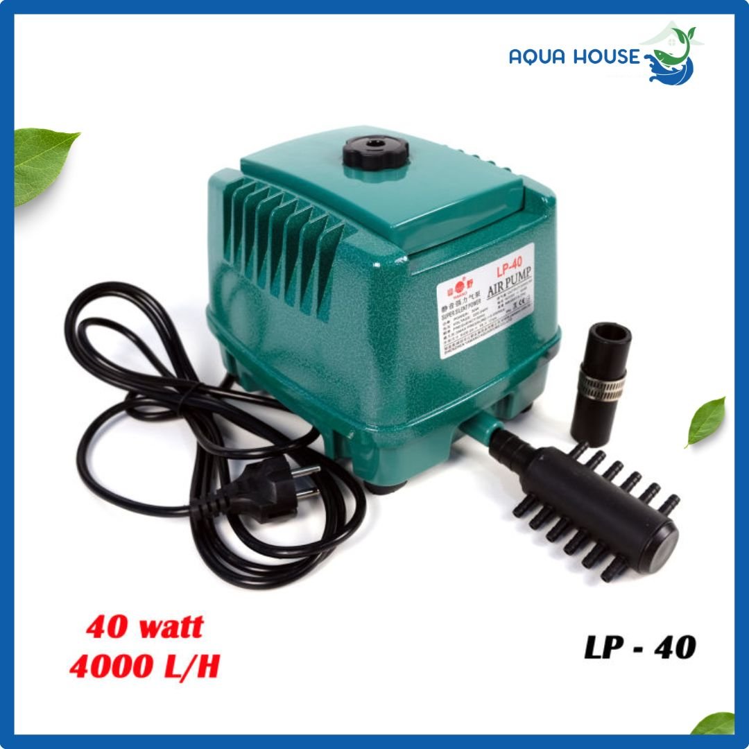 Máy Sủi Oxy Bể Cá Yamano LP (LP10 – LP60) – Siêu Êm, Tiết Kiệm Điện, Độ Bền Cao 5 Sủi oxy bể cá với công suất lớn