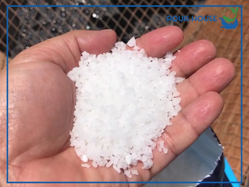 Tắm muối và sử dụng thuốc