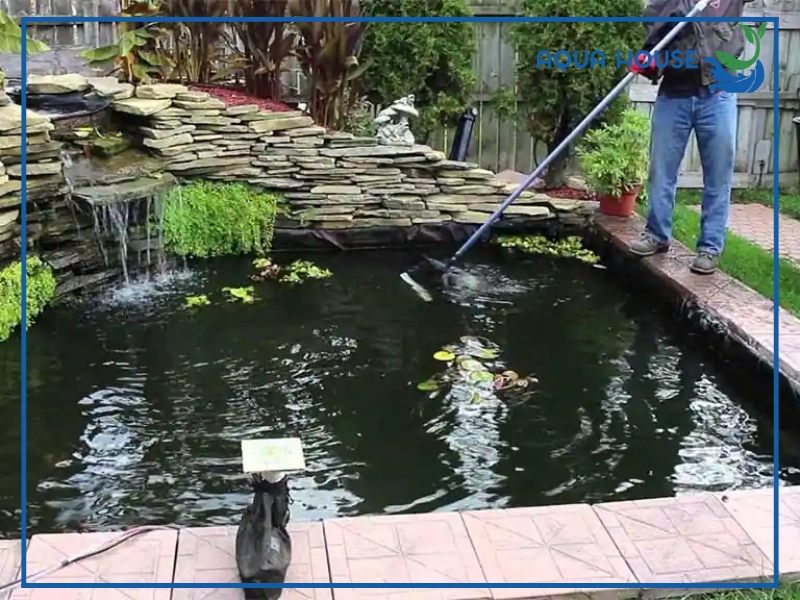 Hồ cá koi bị cúp điện nguy hiểm như thế nào?