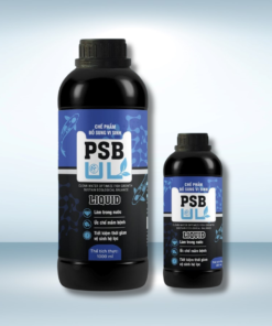 MEN VI SINH PSB-UL – VI SINH QUANG HỢP LÀM TRONG NƯỚC, ỨC CHẾ MẦM BỆNH HỒ KOI