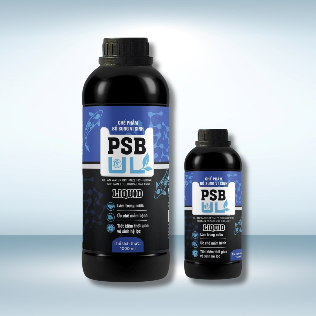 MEN VI SINH PSB-UL – VI SINH QUANG HỢP LÀM TRONG NƯỚC, ỨC CHẾ MẦM BỆNH HỒ KOI 1 MEN VI SINH PSB-UL – VI SINH QUANG HỢP LÀM TRONG NƯỚC, ỨC CHẾ MẦM BỆNH HỒ KOI