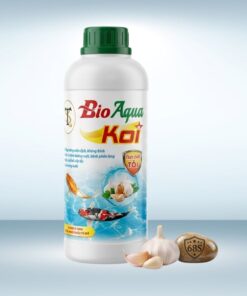 Men Vi Sinh Bio AQUA KOI Tinh Chất Tỏi – Tăng Đề Kháng, Trị Đường Ruột, Làm Trong Nước
