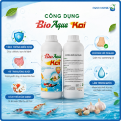 công dụng của vi sinh bio aqua koi