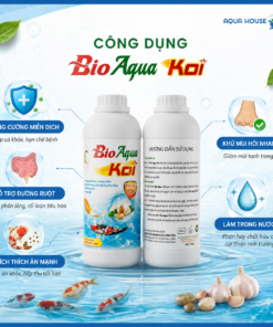 công dụng của vi sinh bio aqua koi