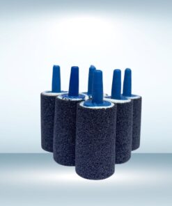 cục sủi oxy đài loan