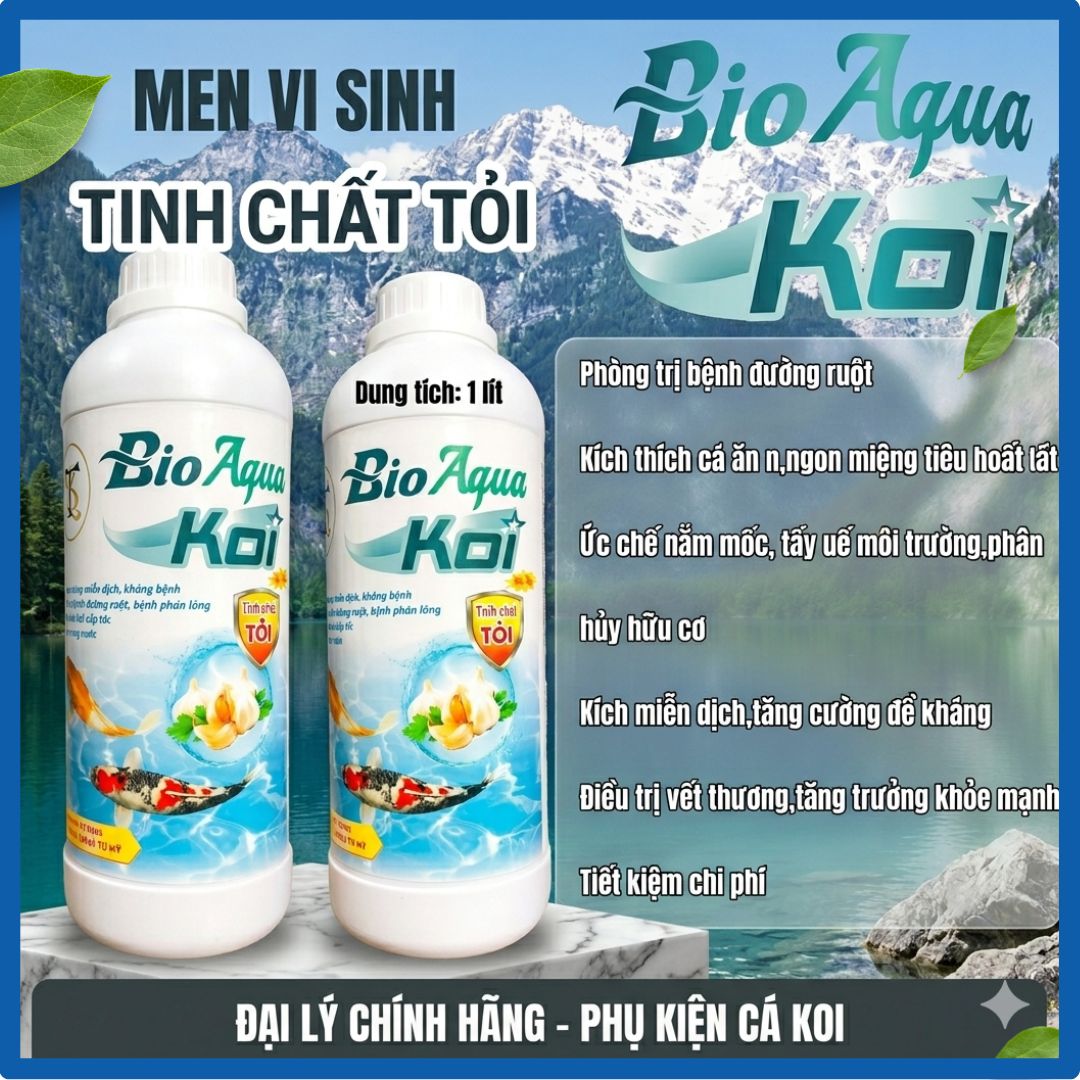 Men Vi Sinh Bio AQUA KOI Tinh Chất Tỏi – Tăng Đề Kháng, Trị Đường Ruột, Làm Trong Nước 3 men vi sinh bio aqua koi