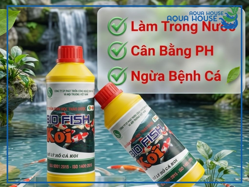 MEN VI SINH PSB-UL – VI SINH QUANG HỢP LÀM TRONG NƯỚC, ỨC CHẾ MẦM BỆNH HỒ KOI 3 Cách Sử Dụng Men Vi Sinh Cho Cá Hiệu Quả