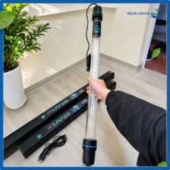 Đèn UV ebang hồ cá koi