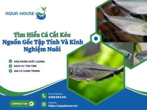 Cá cắt kéo