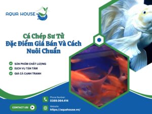Cá chép sư tử