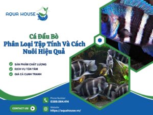 Cá đầu bò