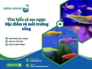 Cá sọc ngựa