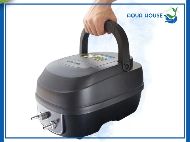 Những tiêu chuẩn quan trọng trong cách chọn máy sủi oxy cho hồ cá