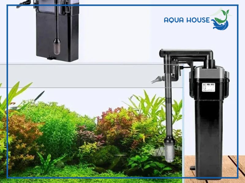 Vì sao lọc treo Sunsun HBL 803 lại được yêu thích trong giới thủy sinh?
