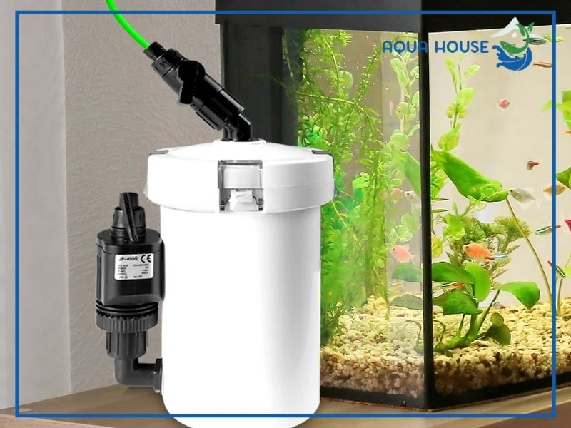 Các bước trong cách lắp lọc thùng Sunsun chuẩn kỹ thuật