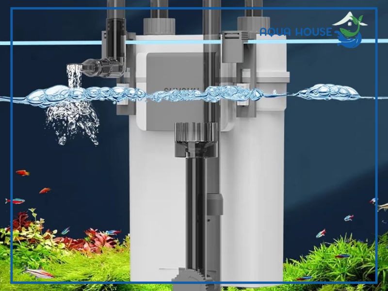 Vì sao dòng lọc XBL 600 lại được nhiều người chơi thủy sinh sử dụng?