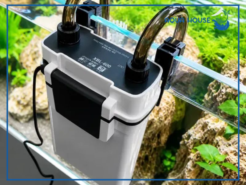 Hướng dẫn từng bước cách lắp lọc XBL 600 đúng kỹ thuật