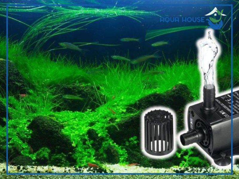 Ưu điểm vượt trội của dòng bơm hồ cá 12V