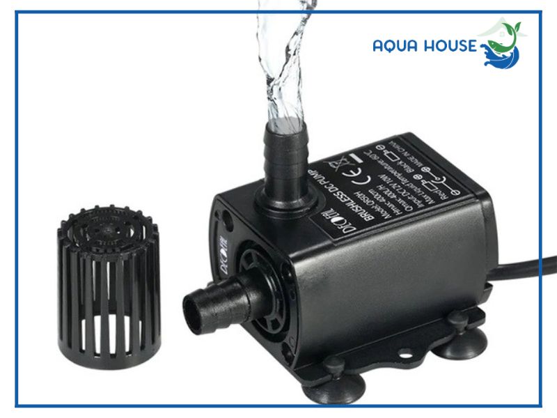 Đánh giá top dòng bơm hồ cá 12V chất lượng tốt giá rẻ đáng mua nhất