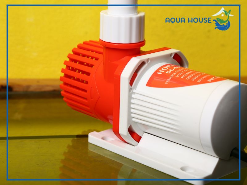 Top các sản phẩm bơm hồ cá 24V chất lượng tốt nên tham khảo