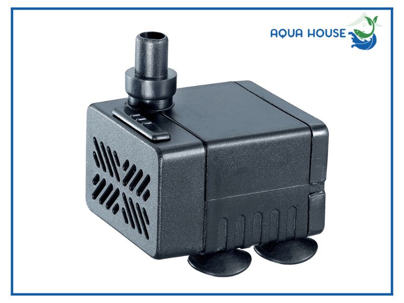 Quy trình cách lắp bơm bể cá mini đơn giản từng bước tại nhà