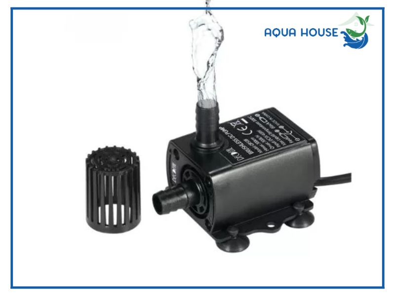 Hướng dẫn lắp bơm chìm hồ cá từ A–Z chi tiết từng bước