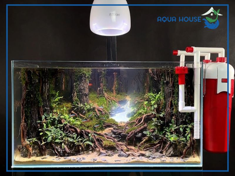 Tổng quan về thiết bị lọc thùng Baoyu 850 cho hồ thủy sinh