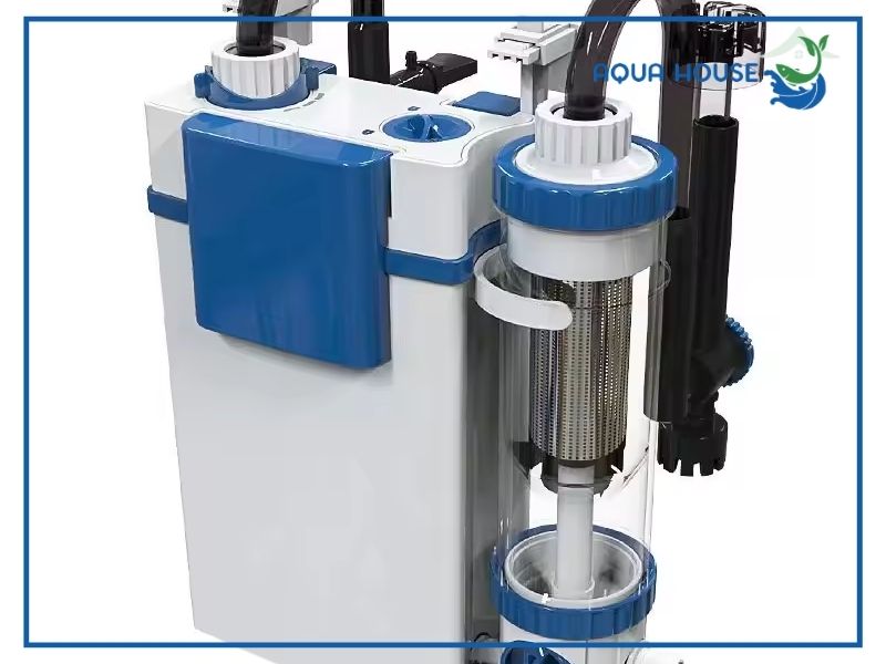 Vì sao dòng lọc treo Sunsun YBF 500 được sử dụng phổ biến?