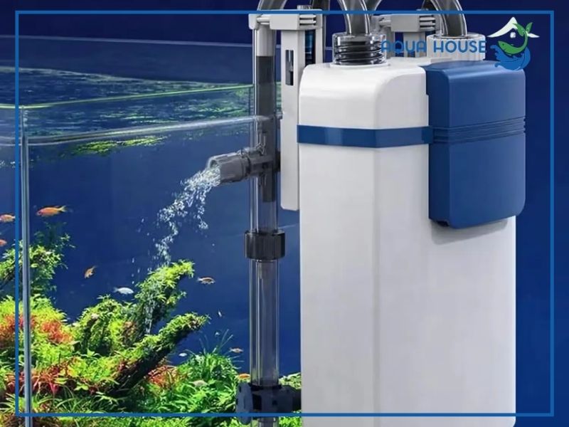 Hướng dẫn từng bước cách lắp lọc Sunsun YBG 600 đúng kỹ thuật