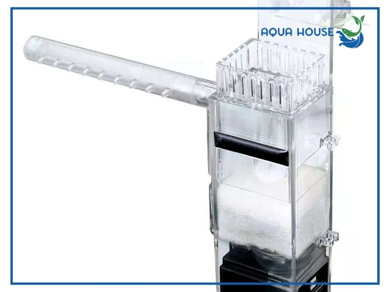Hướng dẫn cách lắp lọc váng cho bể cá chi tiết từng bước chuẩn kỹ thuật