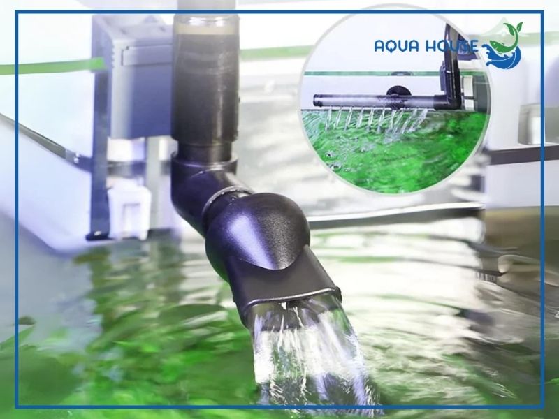Hướng dẫn từng bước cách lắp lọc YBG 300 chuẩn kỹ thuật