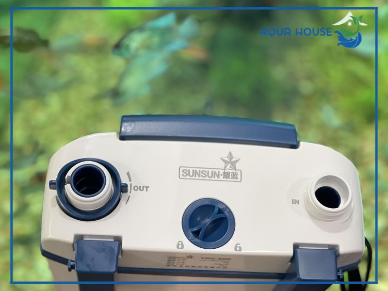 Vì sao dòng lọc treo Sunsun YBG 600 lại được ưa chuộng?