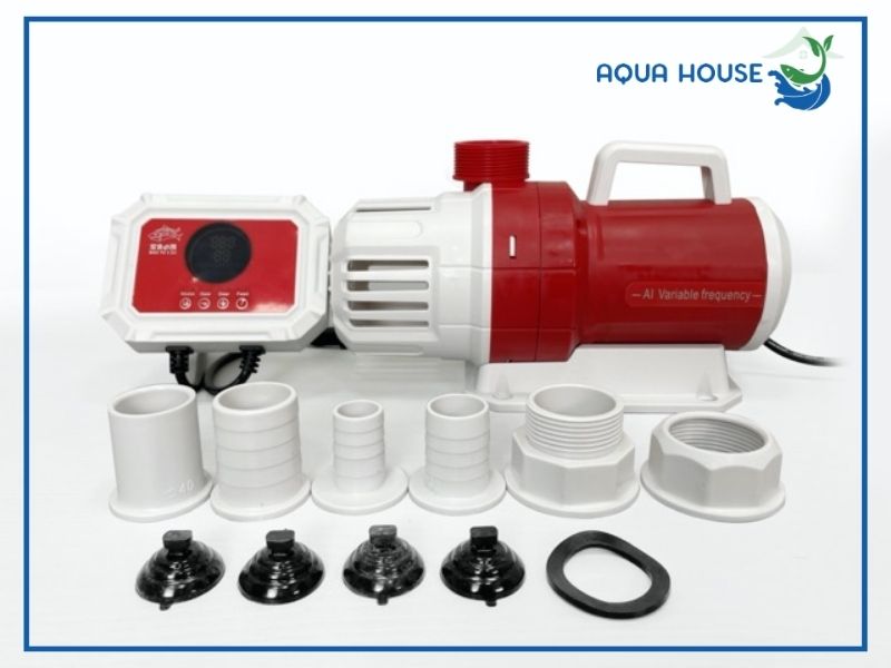 Vì sao máy bơm 2000L/h lại được ưa chuộng rộng rãi?