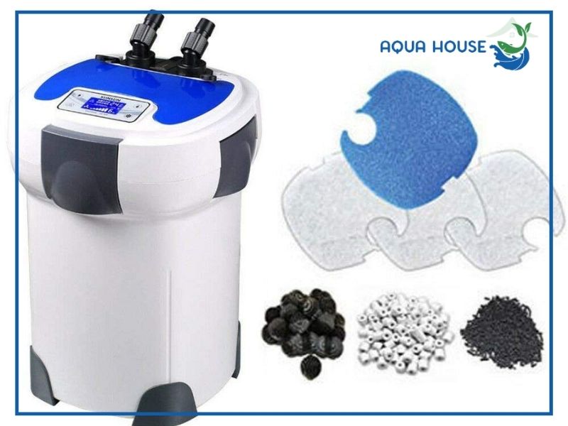 Vì sao máy bơm hồ cá 3000L/h được ưa chuộng?