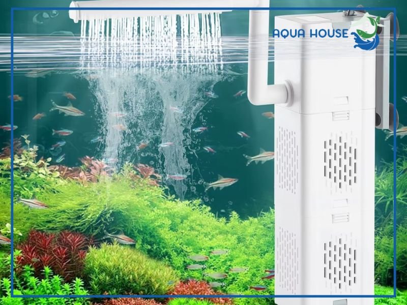 Vì sao máy bơm hồ cá 30W là sự lựa chọn phổ biến hàng đầu?